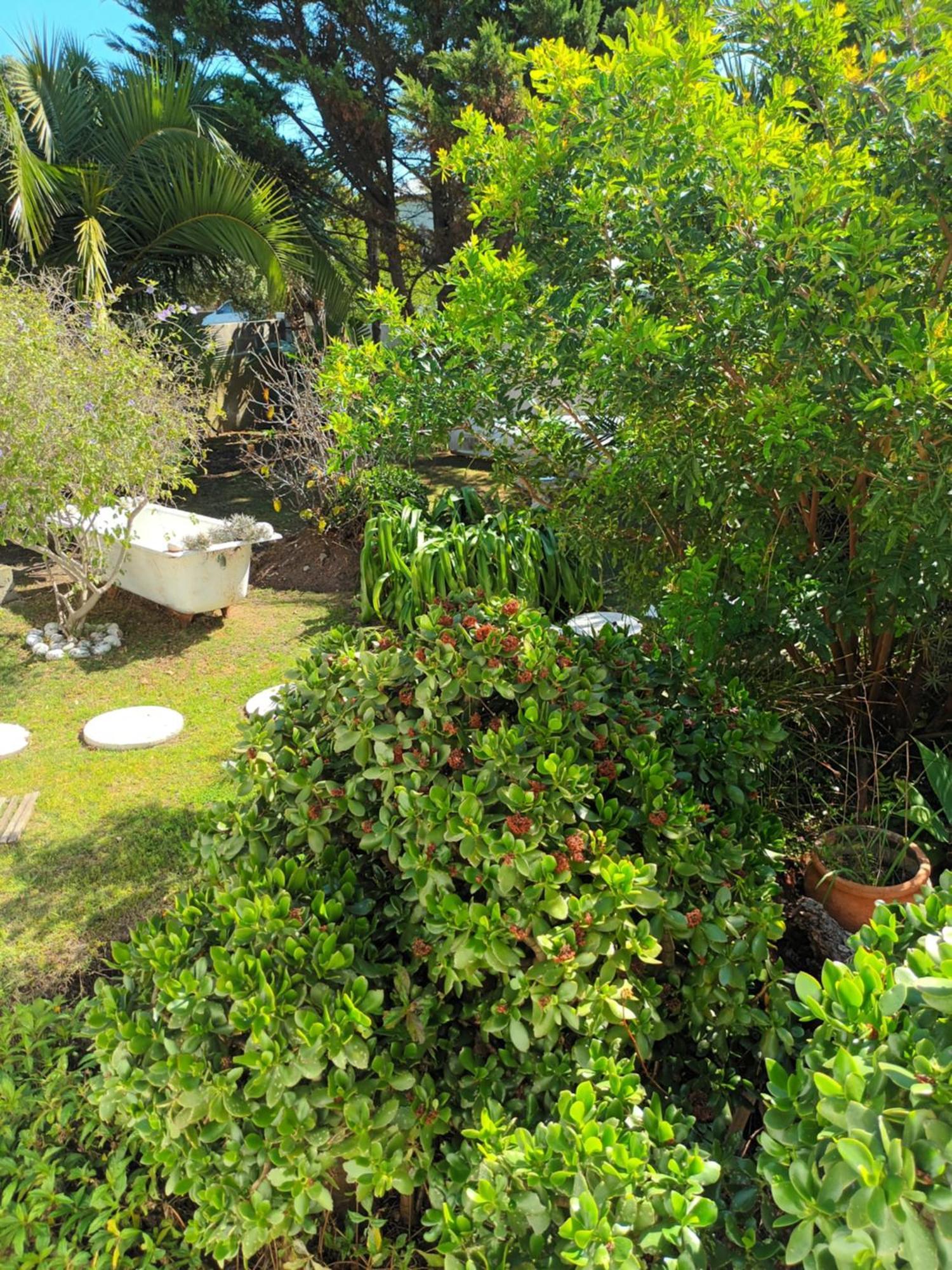 Self Catering Unit 6, Sandbaai Херманус Стая снимка
